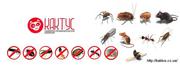 100% избавим от клопов,  клещей,  блох,  комаров,  тараканов,  муравьев,  ос